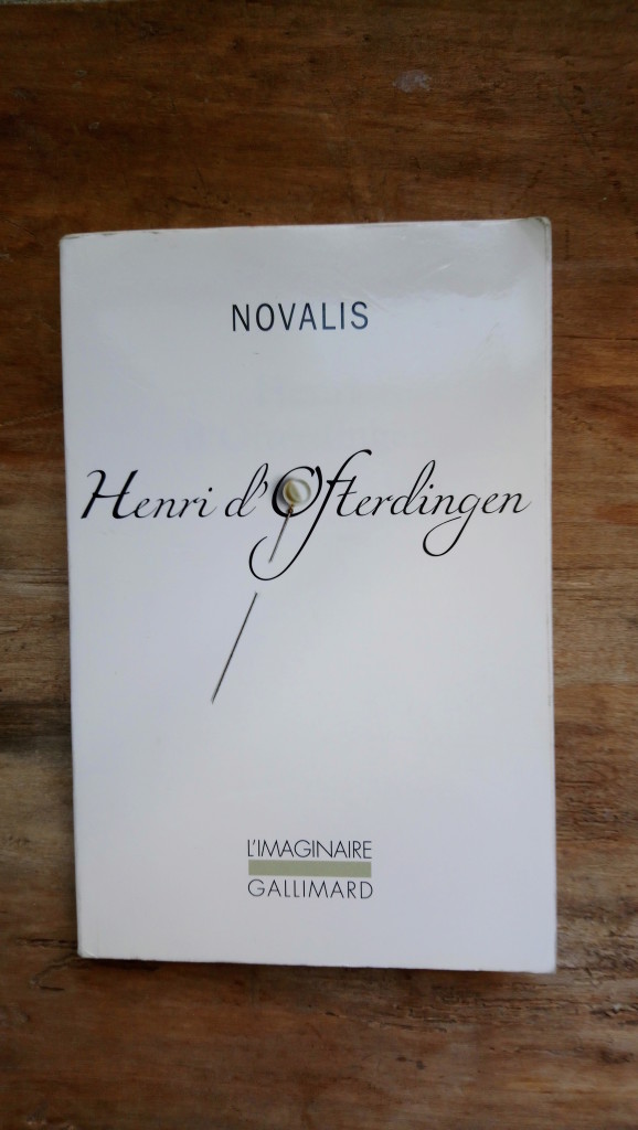 Lire Henri d'Ofterdingen de Novalis, Collection Morel, Musiques imaginaires, 2017 , photo de Wilfried Paris 1